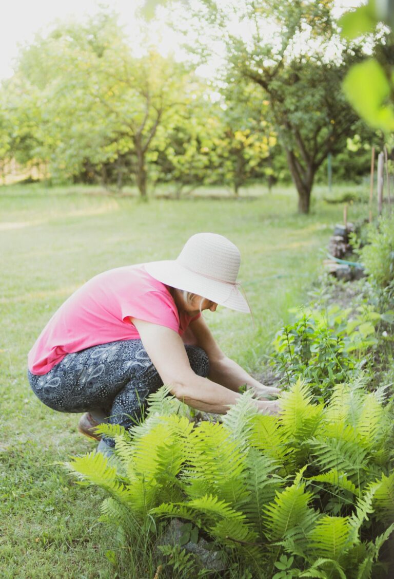 50 idées cadeaux pour le jardin (guide 2024)