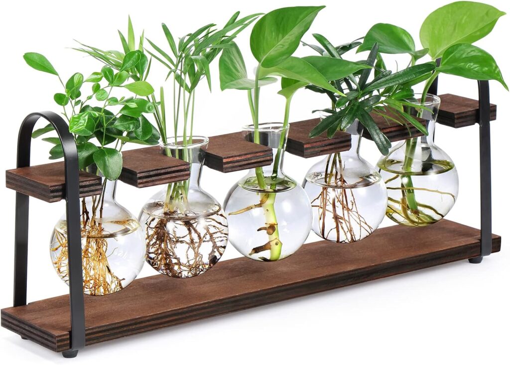 stations de propagation plantes