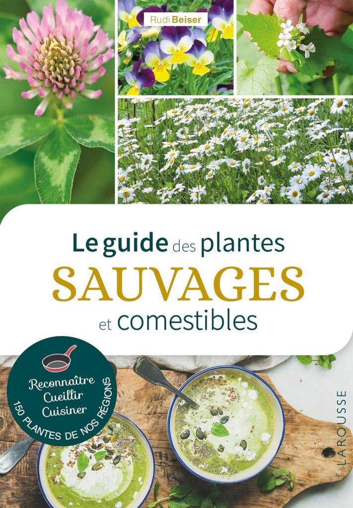 13. Le guide des plantes sauvages et comestibles 